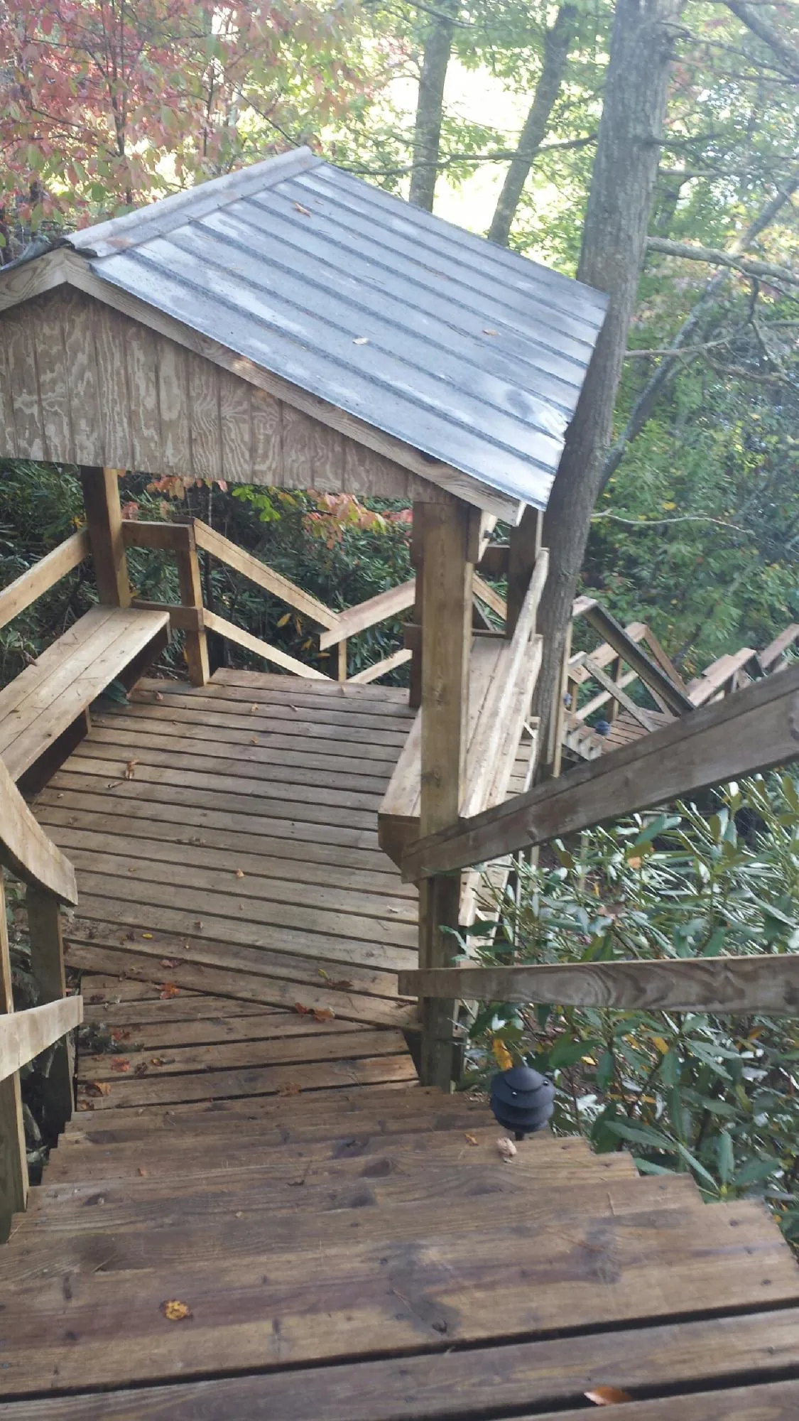 Metal roofed shelter over wooden steps on a wooded walkway — Skylight Repair & Installation work by our crew in Cascadia