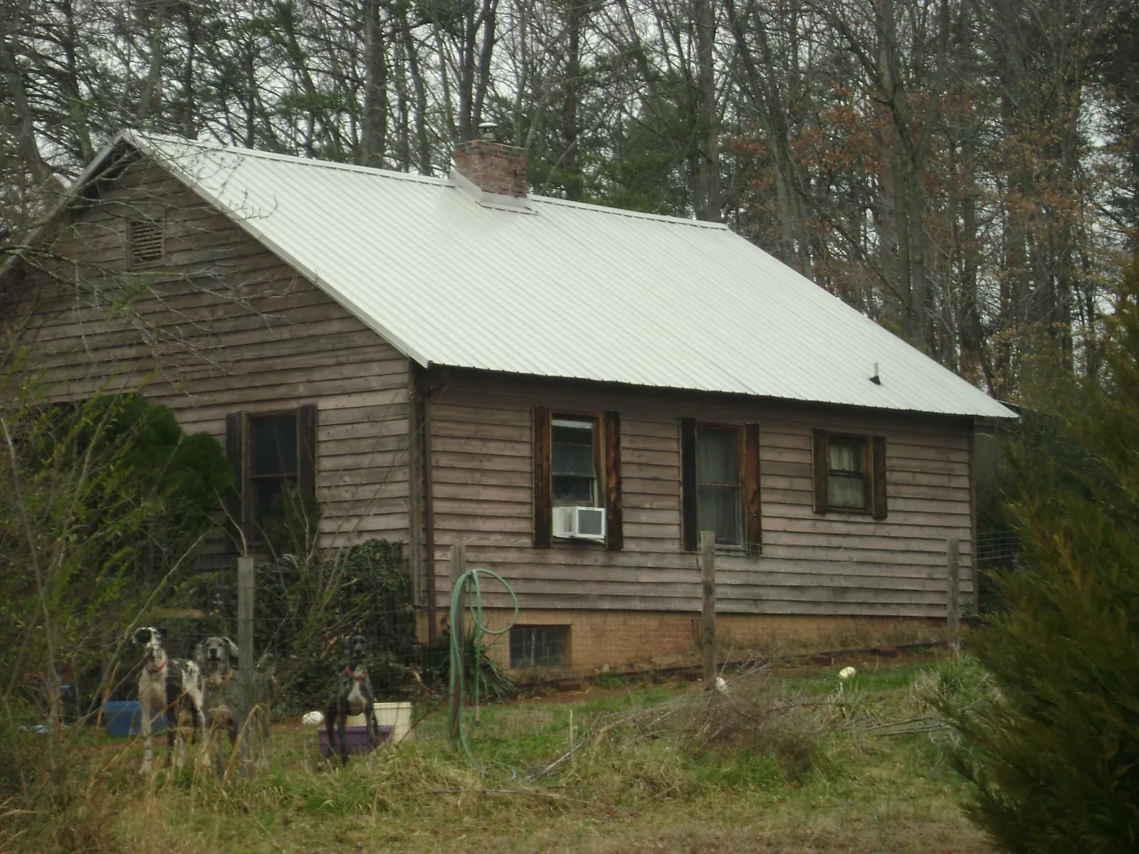 White metal roof on an old wood sided farmhouse, from a Asphalt Shingle Roof Repair job in Cascadia